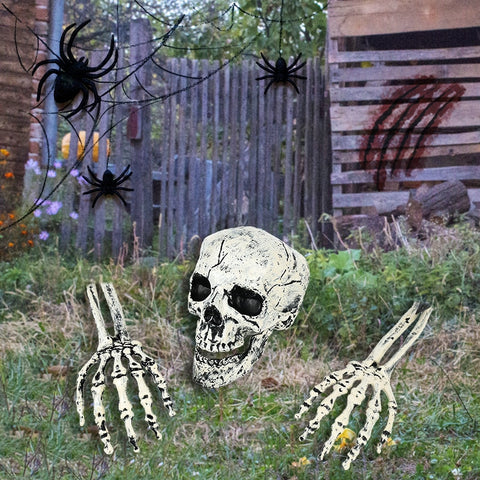 squelette halloween