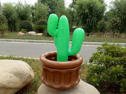 Cactus gonflable