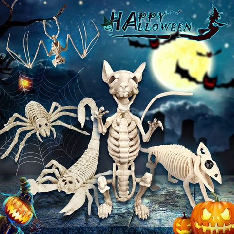 squelette d'araignée halloween