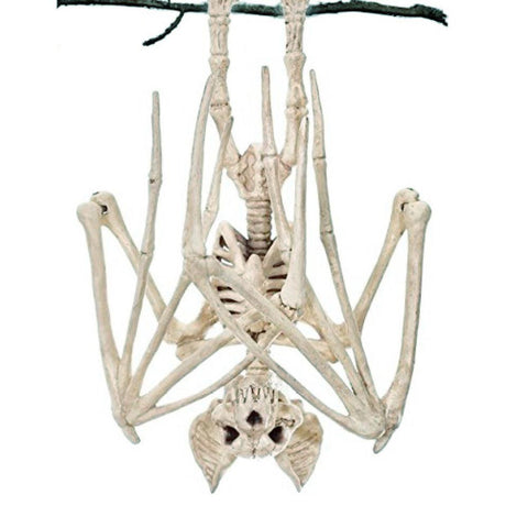 squelette de chauve souris halloween